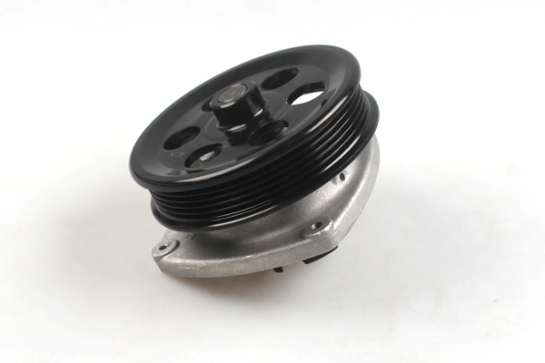 Compre 12663910 Peugeot/Citroen Bomba de água (bomba) de esfriamento