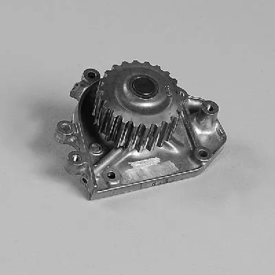 P7827 Hepu