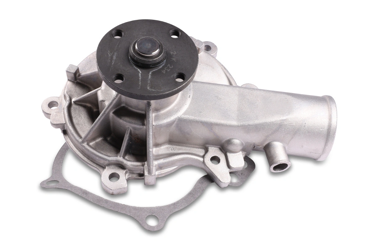 P33536 Hepu