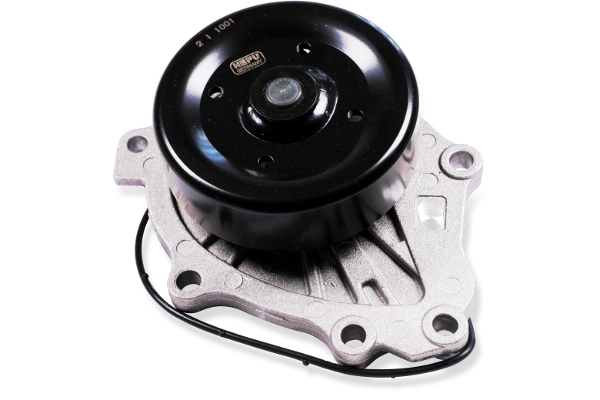 P7789 Hepu