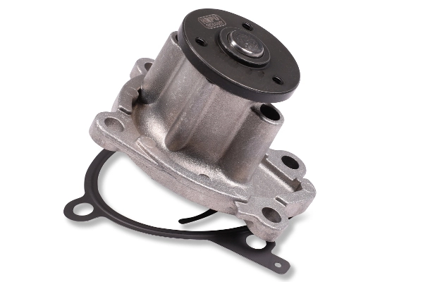 P7388 Hepu