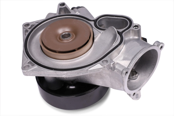 P443 Hepu