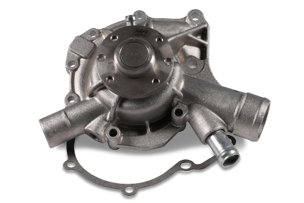P145 Hepu