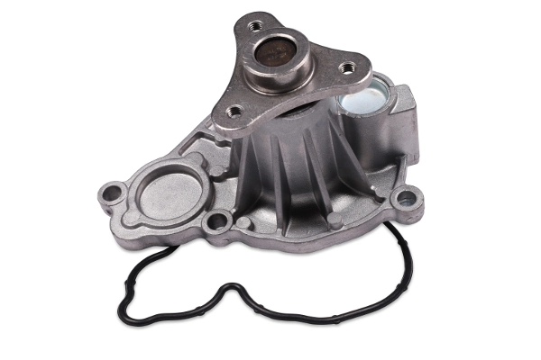 P441 Hepu