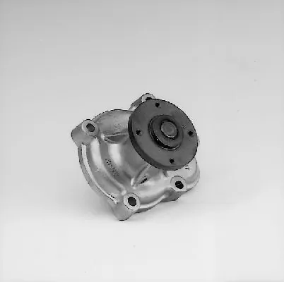 P333 Hepu