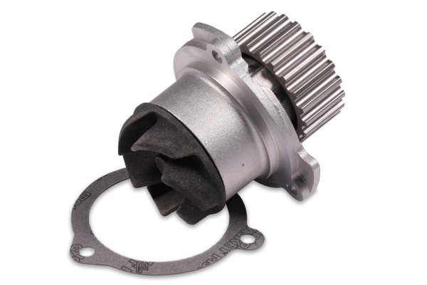 P622 Hepu