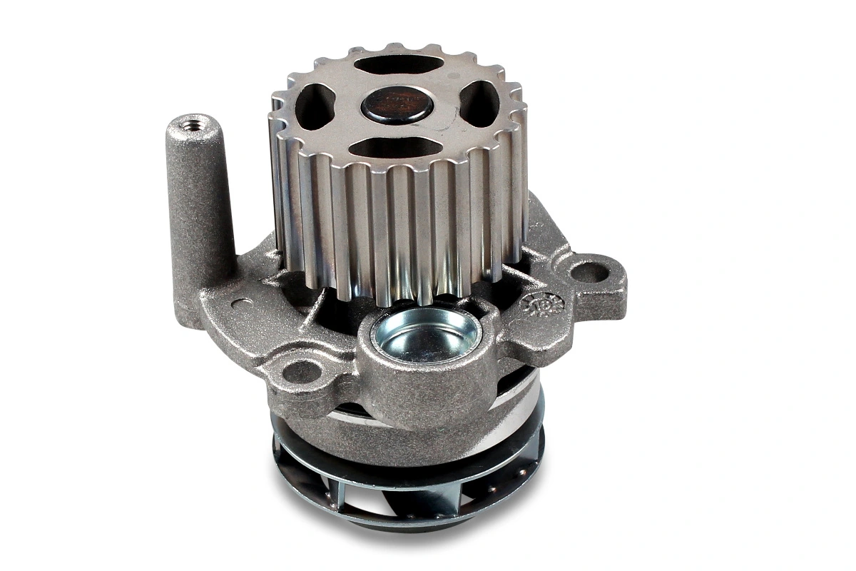P569 Hepu