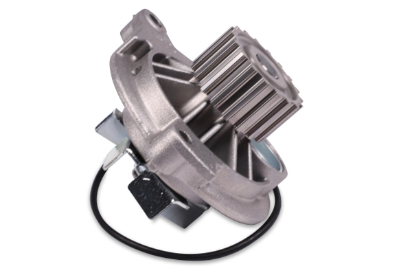 P616 Hepu