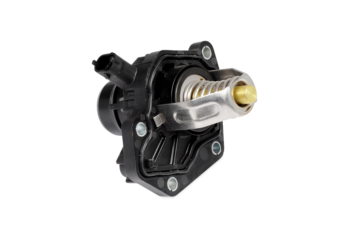 Compre 55492938 General Motors Termostato