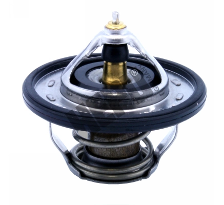 TM1324 Hepu