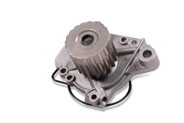 P783 Hepu