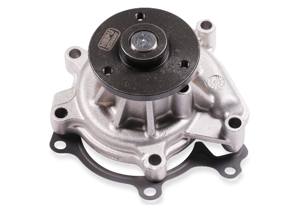 P7795 Hepu