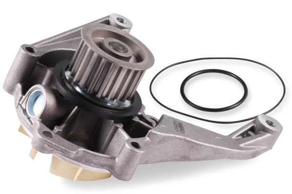 P1729 Hepu