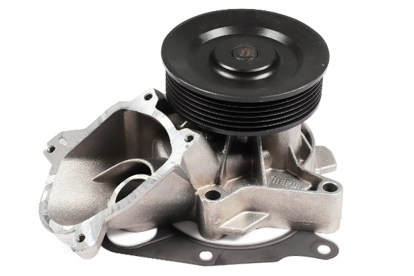 P466 Hepu