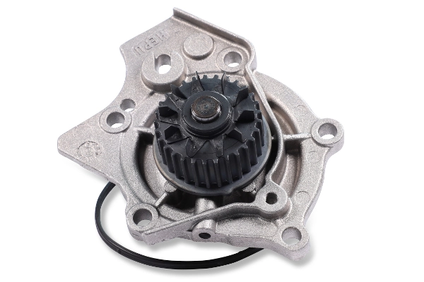 P659 Hepu