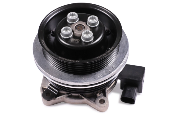 P651 Hepu