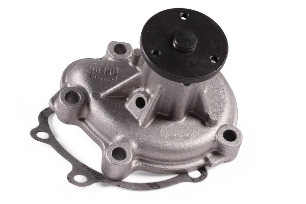 P372 Hepu