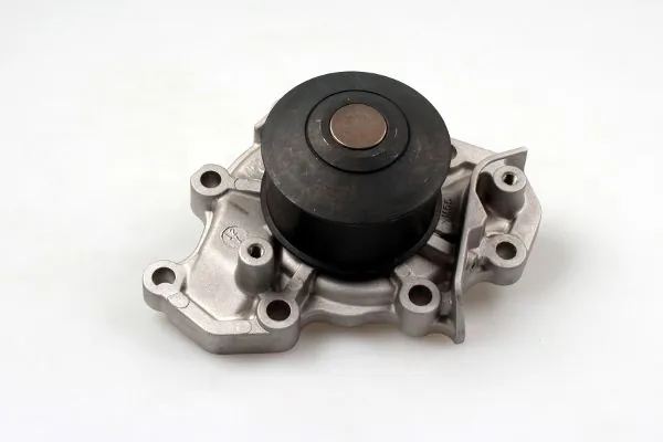 P7747 Hepu