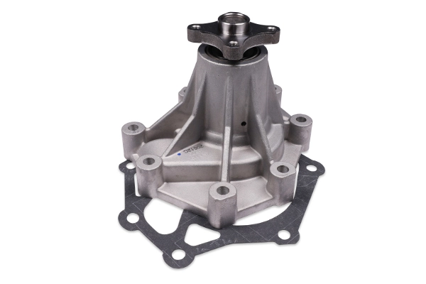P7988 Hepu