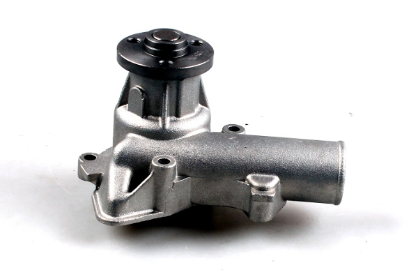 P078 Hepu
