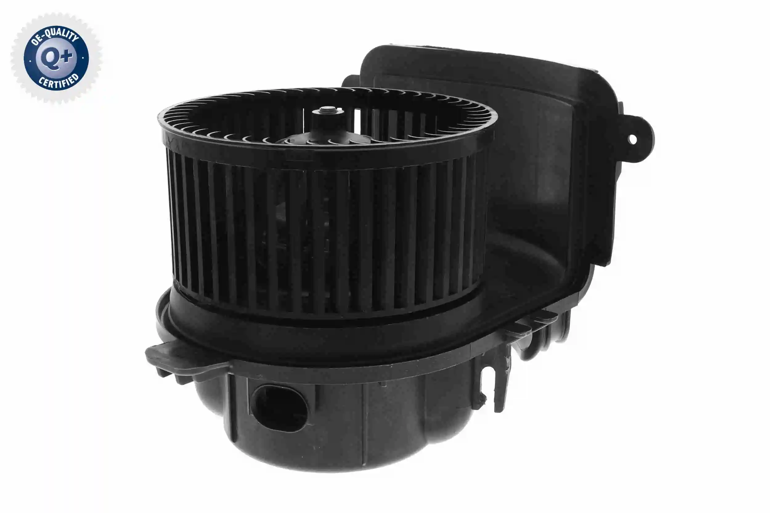 V46031397 Vemo