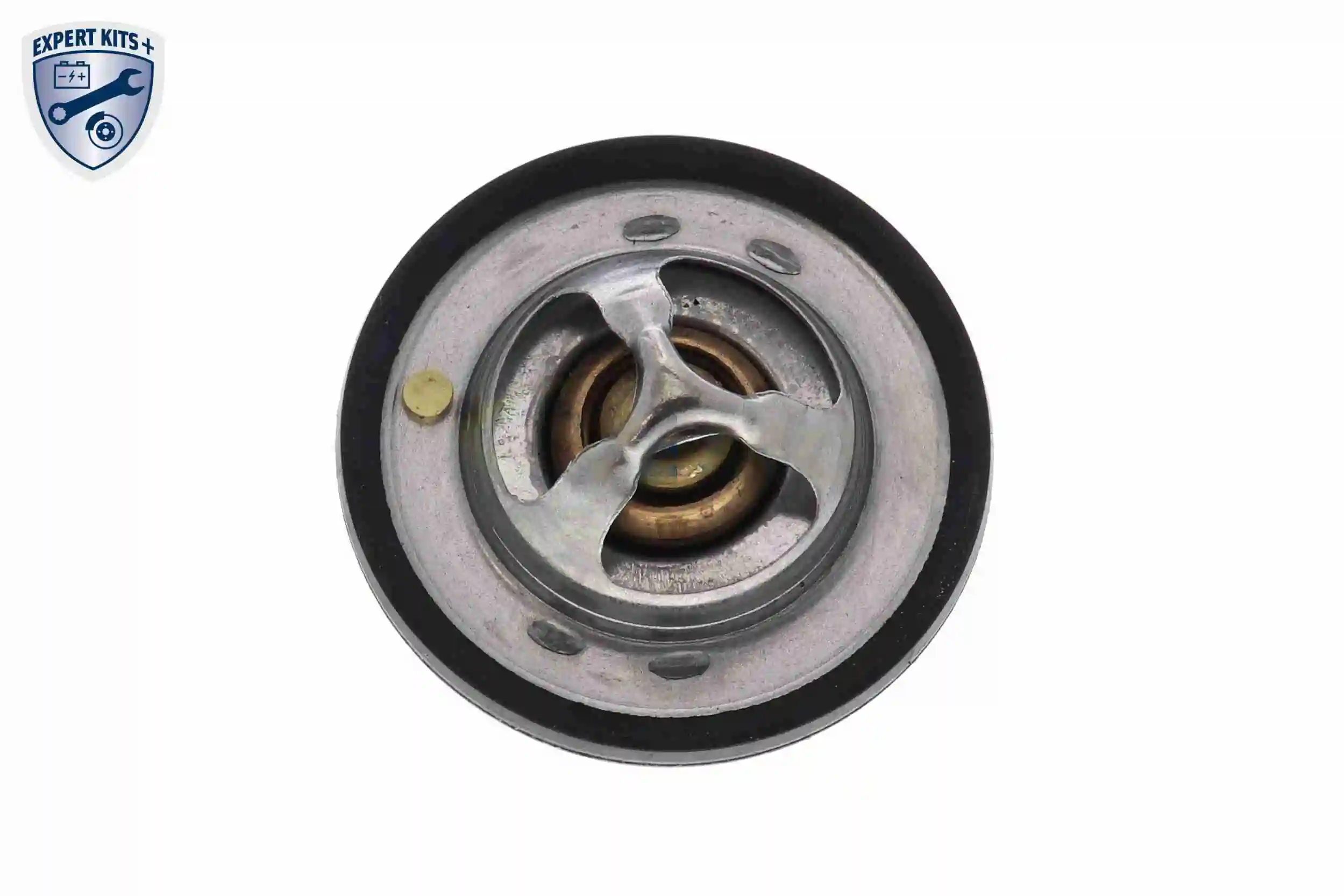 Termostato V46991374 Vemo