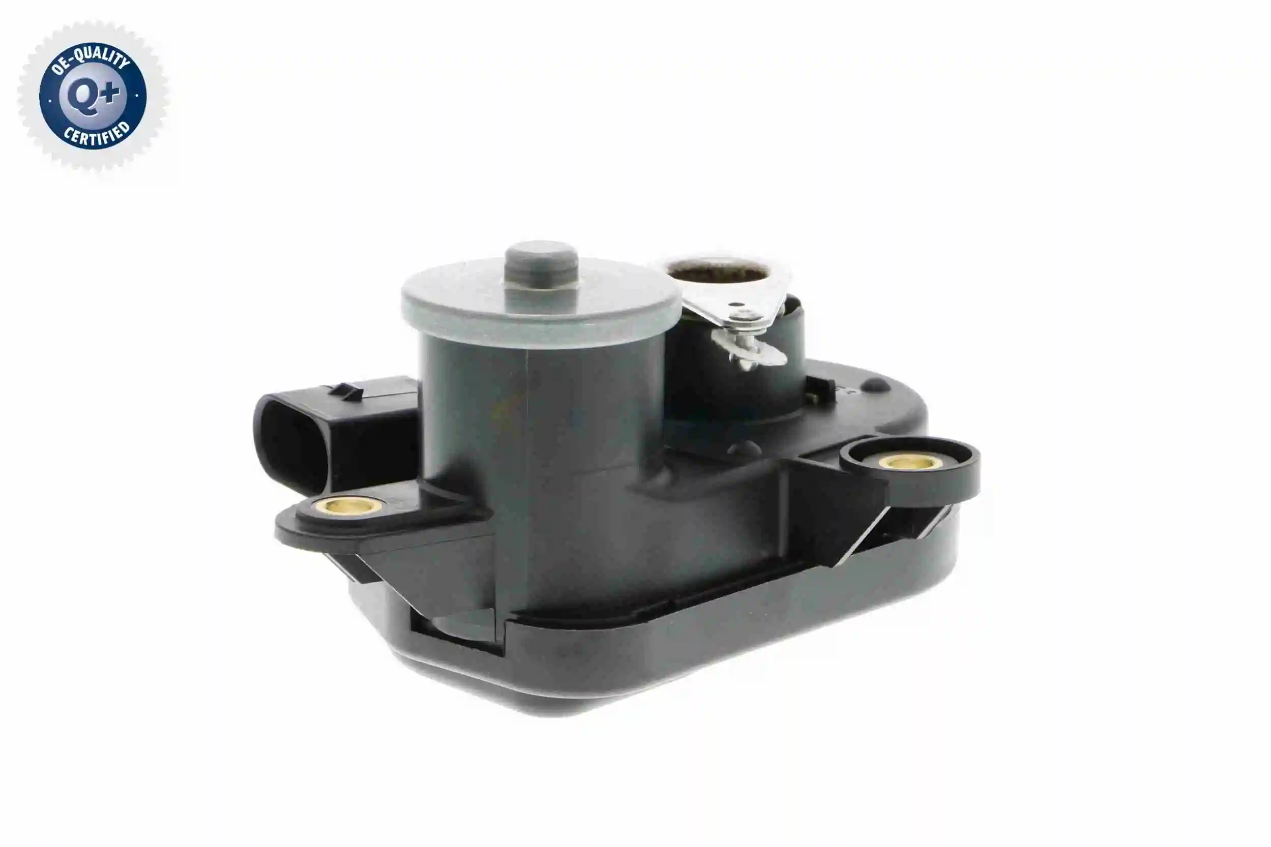 V30770054 Vemo