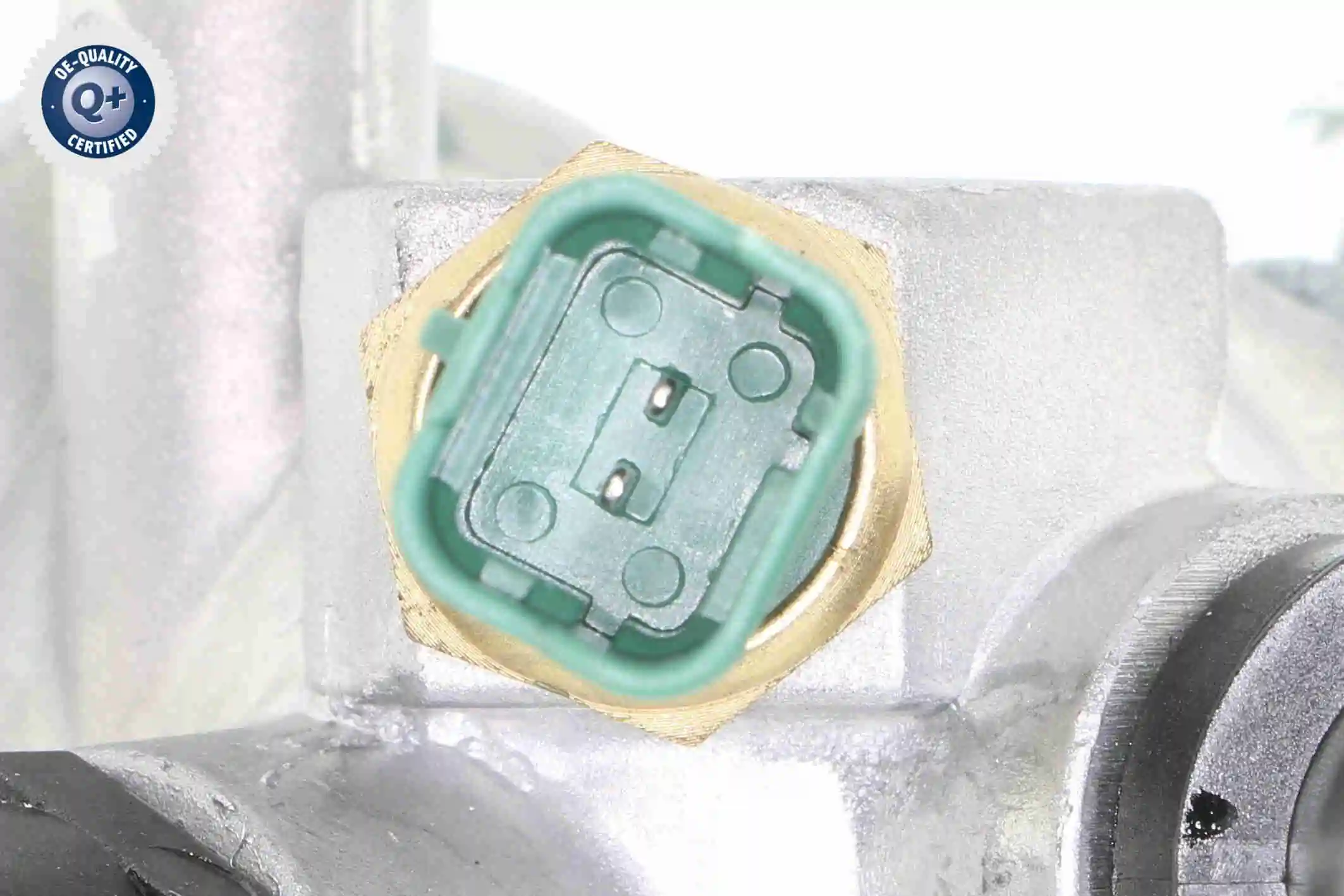 V24990034 Vemo Termostato
