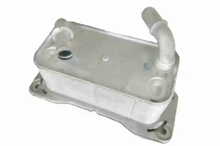 V95600021 Vemo