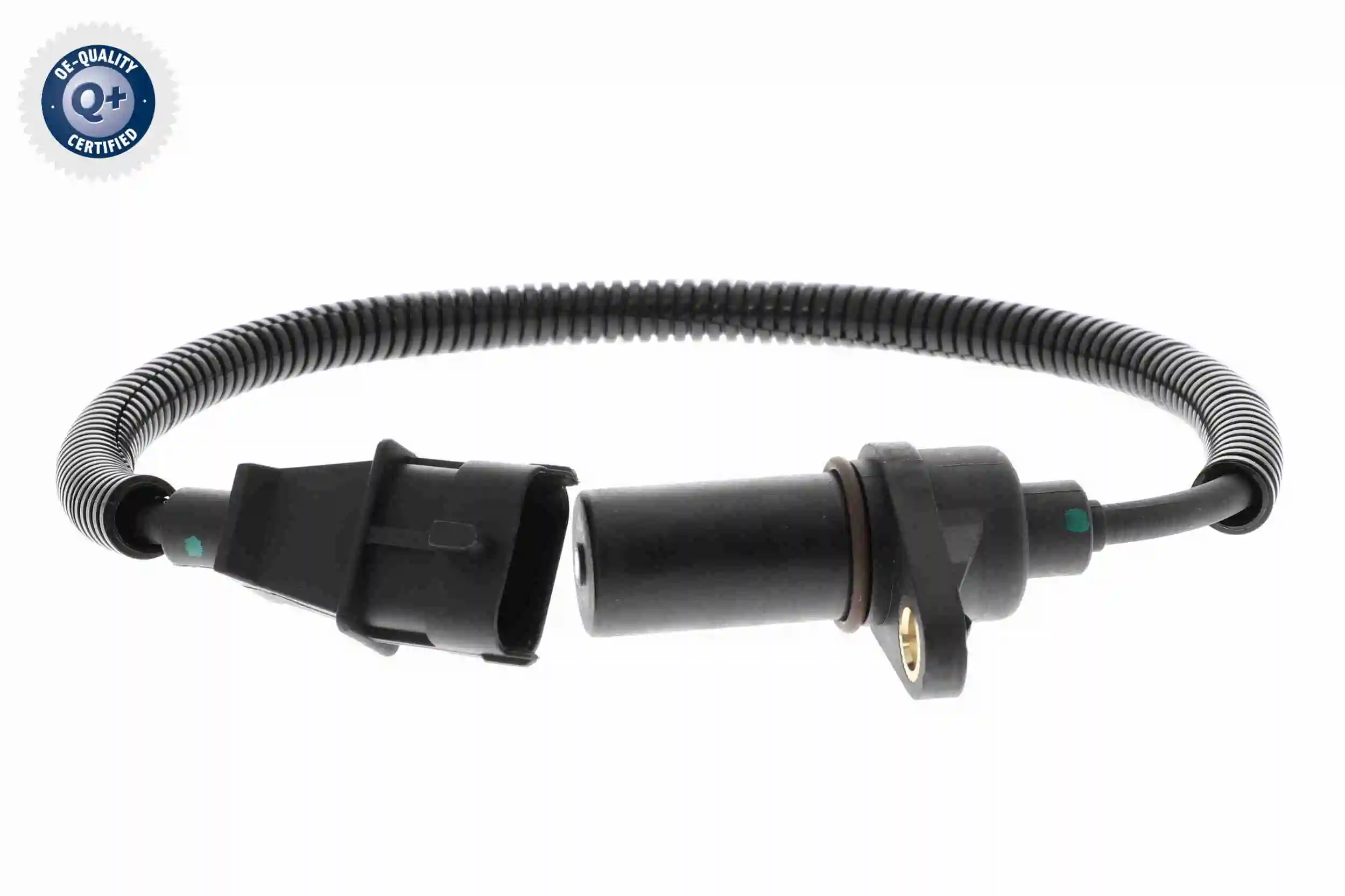 V52720049 Vemo