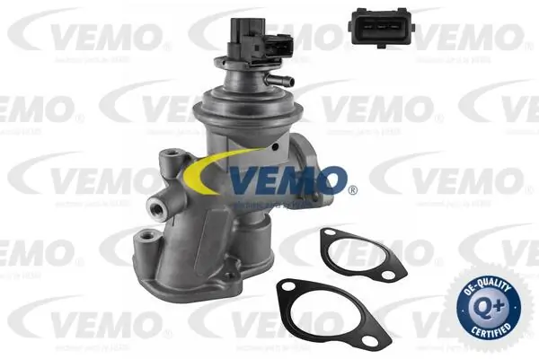 V40630031 Vemo