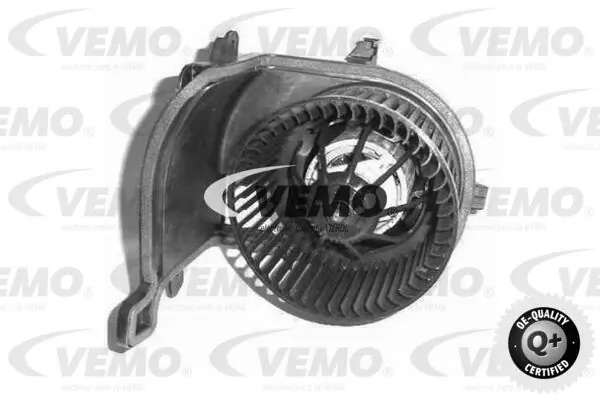 V46031364 Vemo
