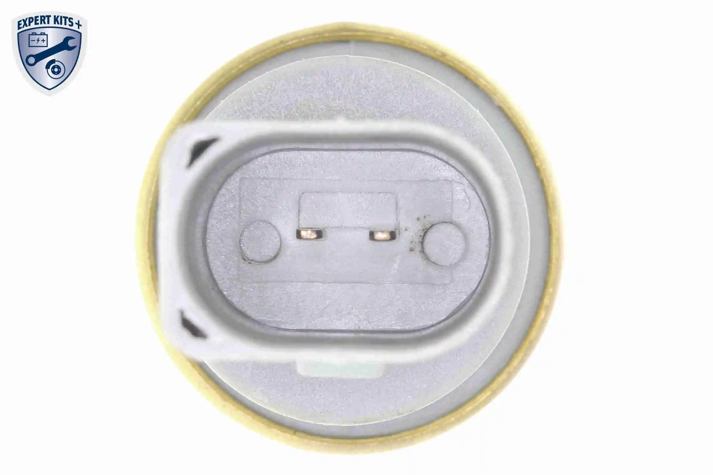 Compre Correia do mecanismo de distribuição de gás, kit Audi A8 