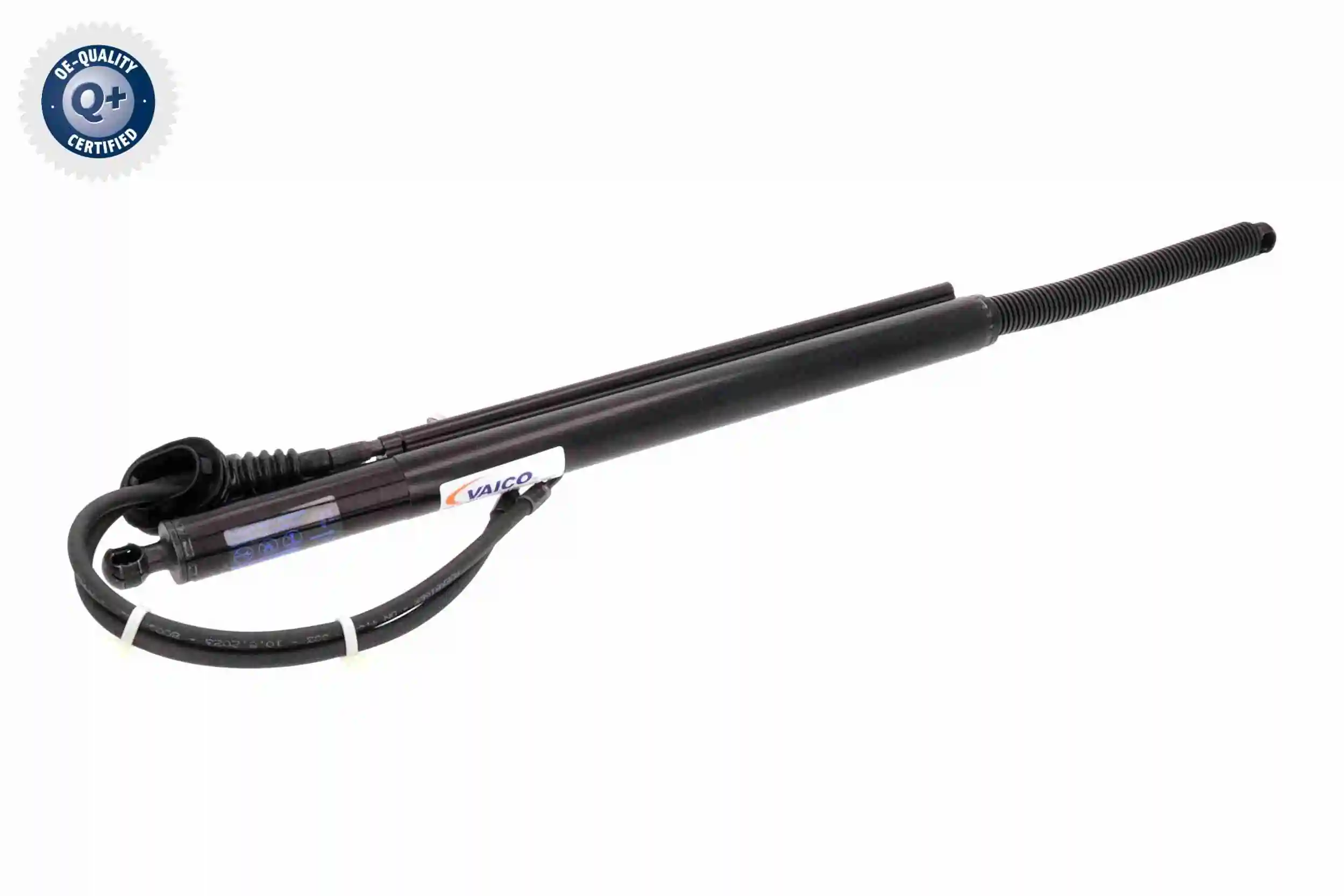 V40550001 Vemo