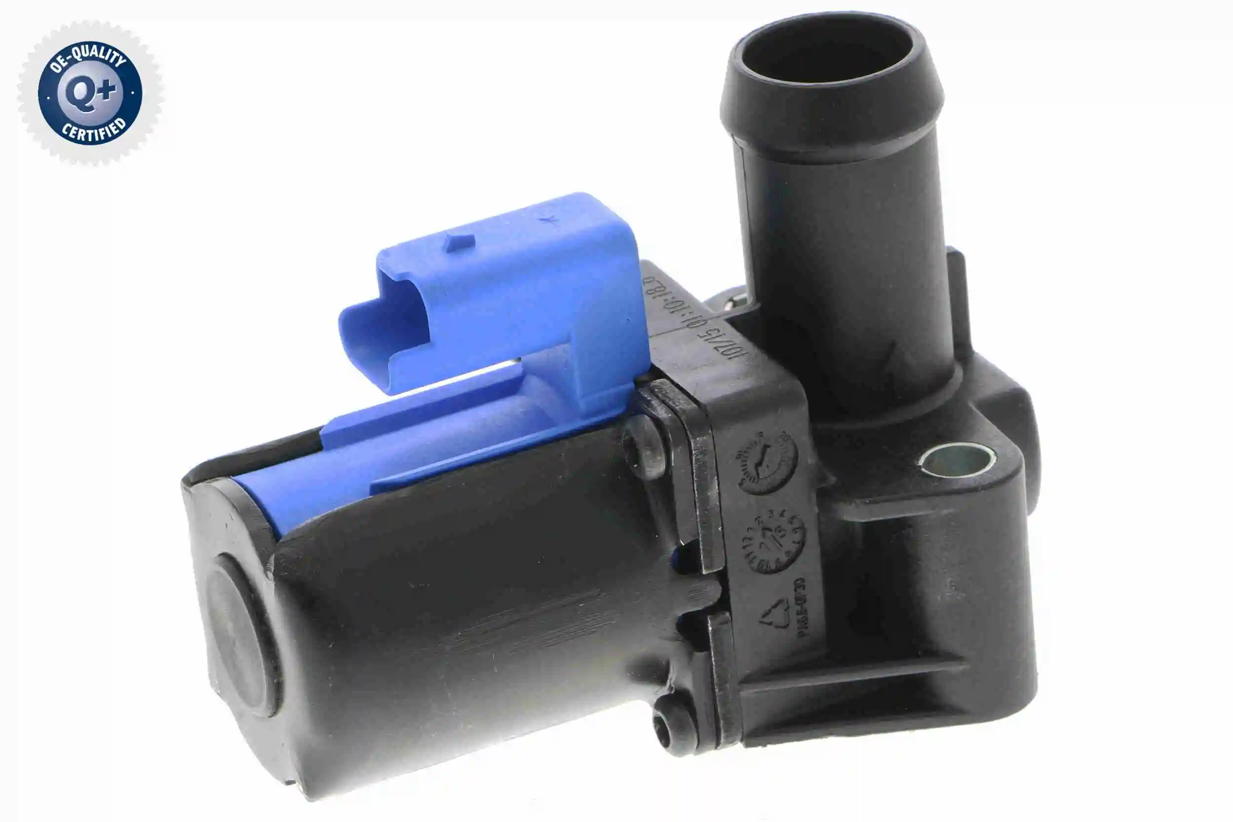 Comprar  Focus III CB8