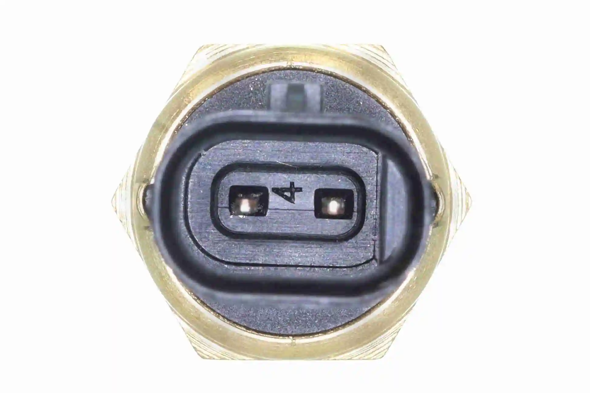 Sensor de temperatura do fluido de esfriamento 55491076 Peugeot/Citroen
