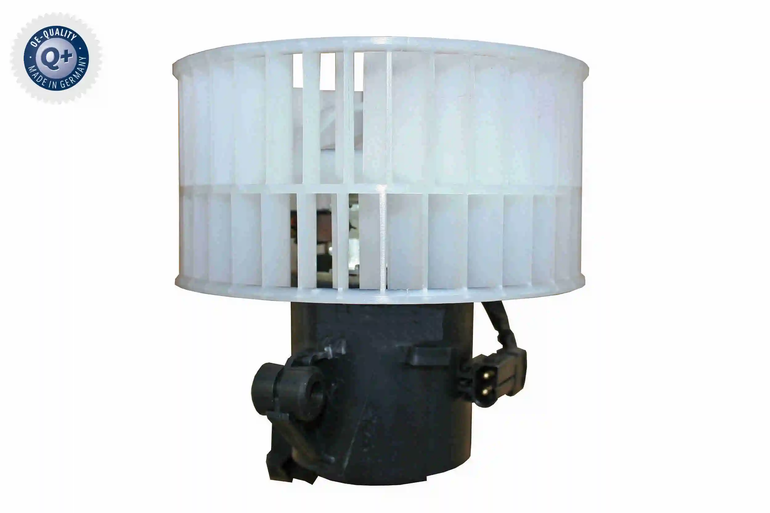 V30031765 Vemo