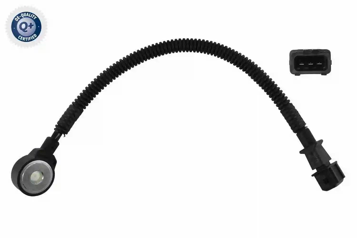 Comprar  Terracan  HP