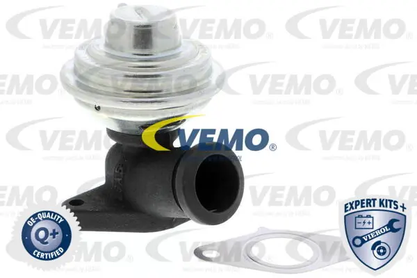 V22630013 Vemo