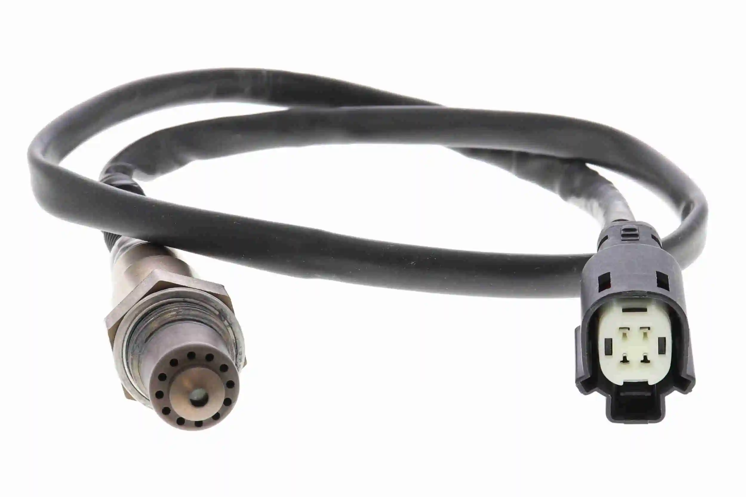 Comprar  Fiesta VI CB1