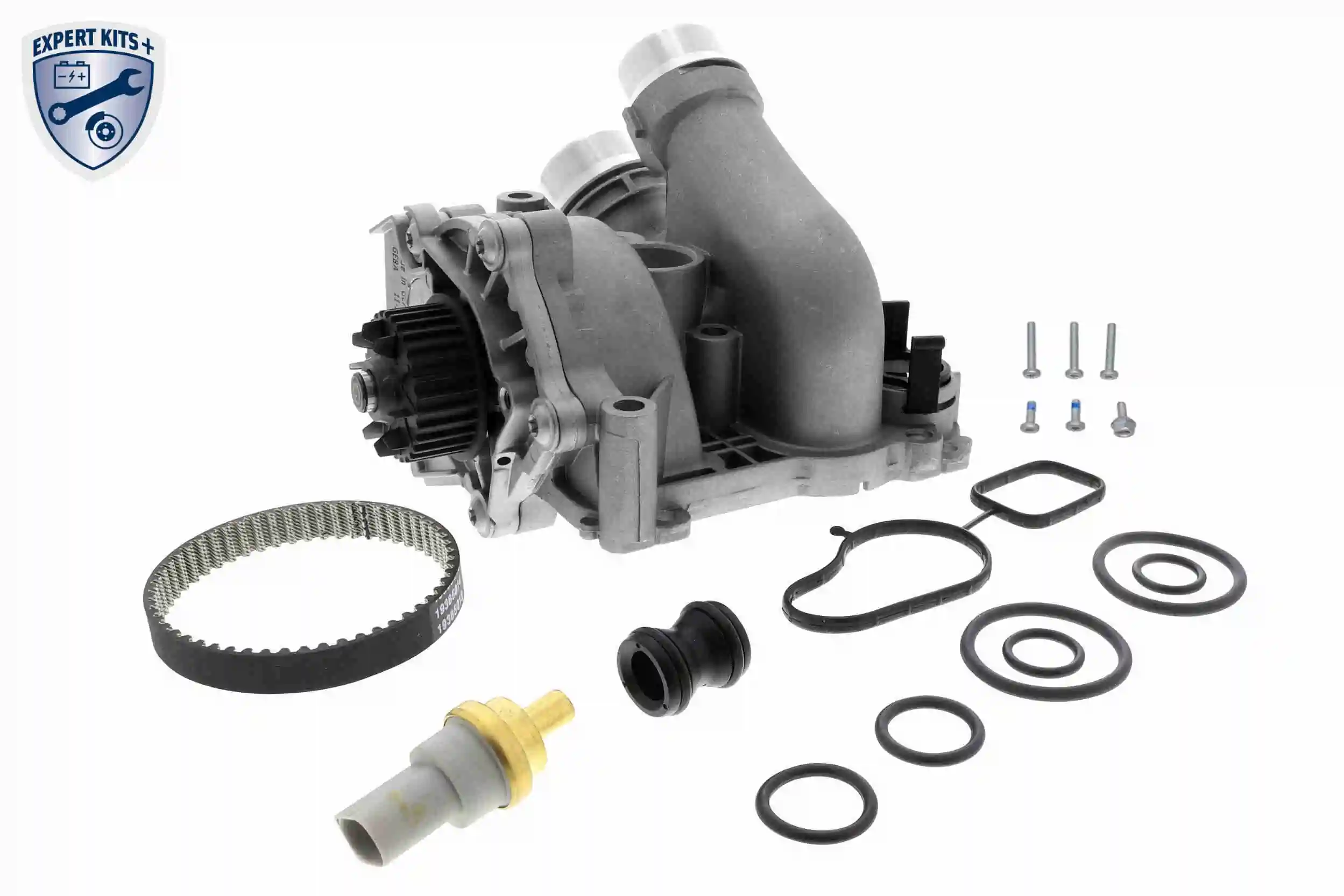Correia do mecanismo de distribuição de gás, kit Audi A8  4H2, 4H8, 4HC, 4HL ao melhor preço