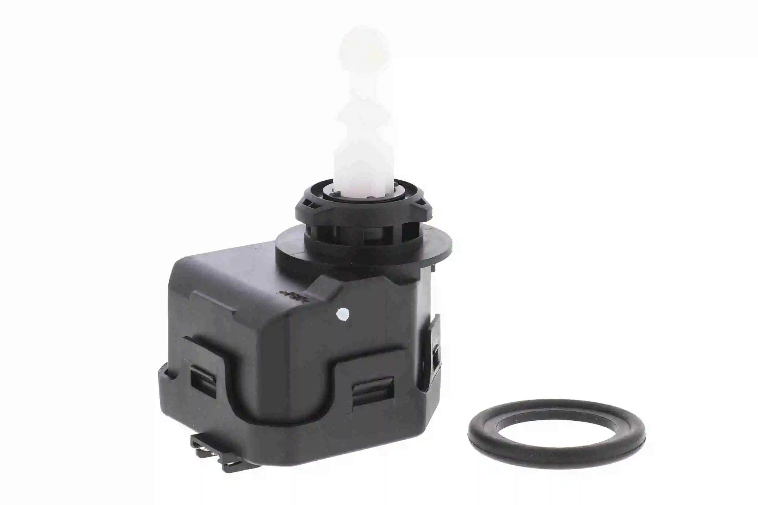 Comprar  Focus II DA, HCP, DP