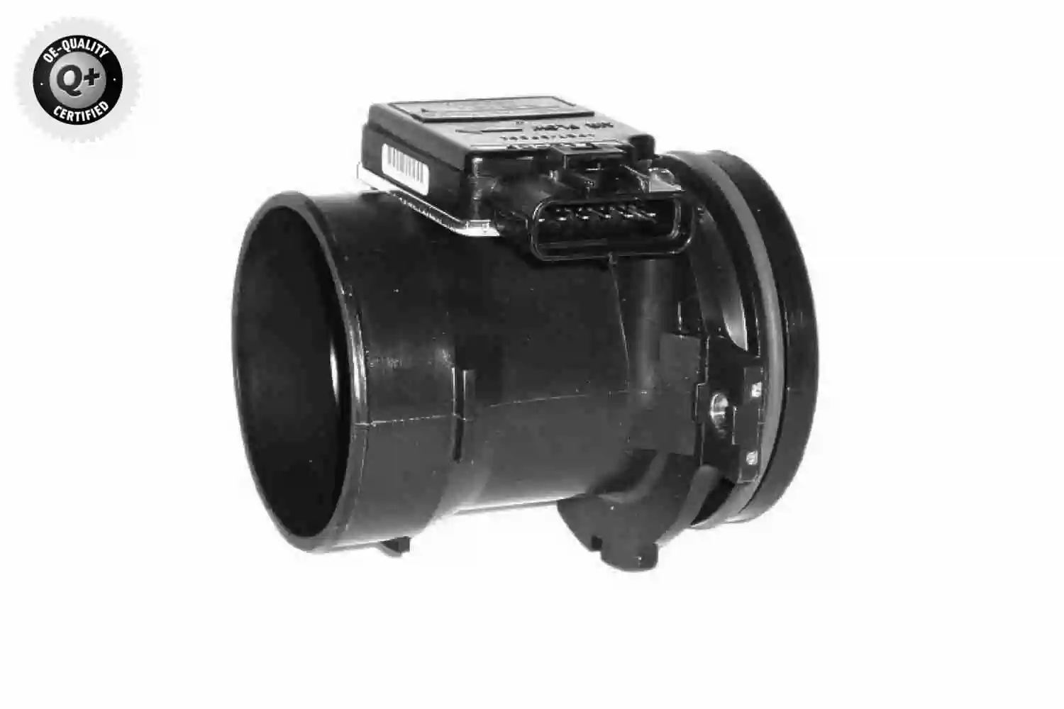 V25721018 Vemo