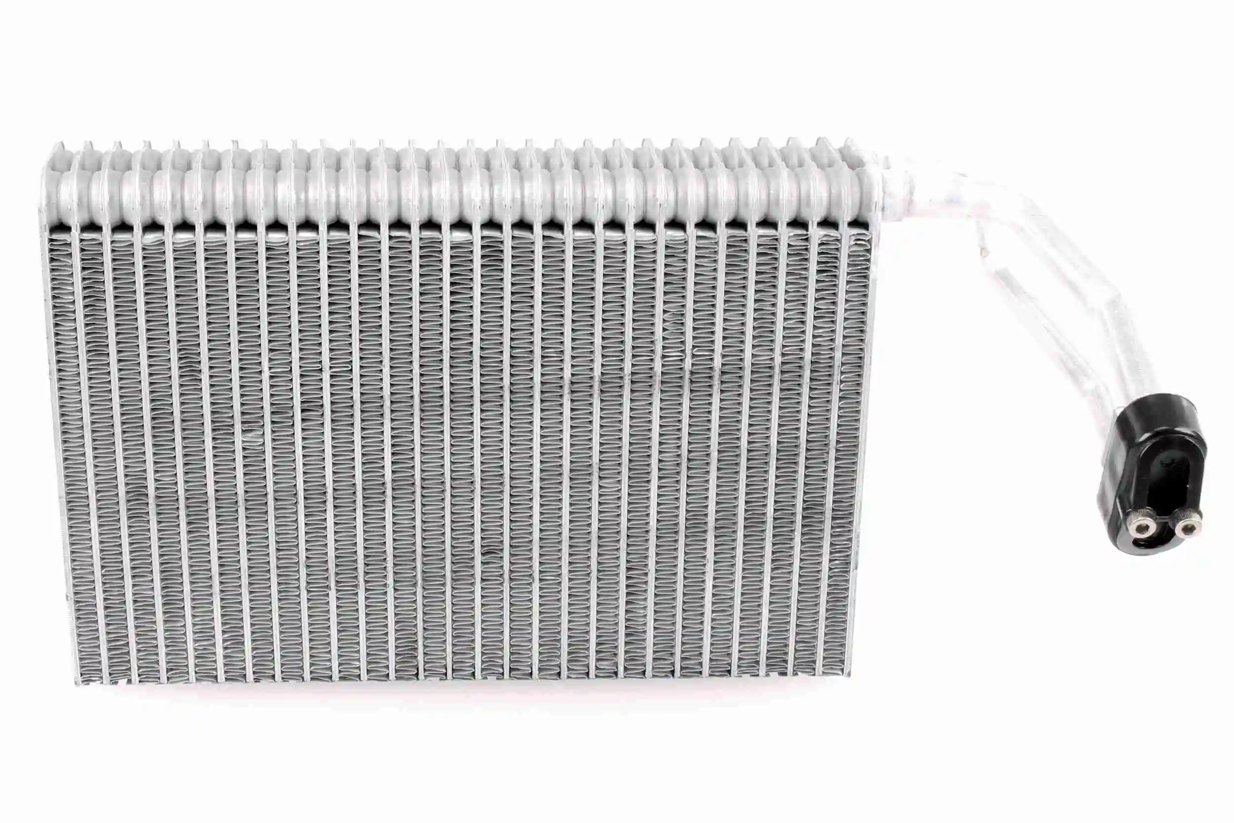 V30650021 Vemo