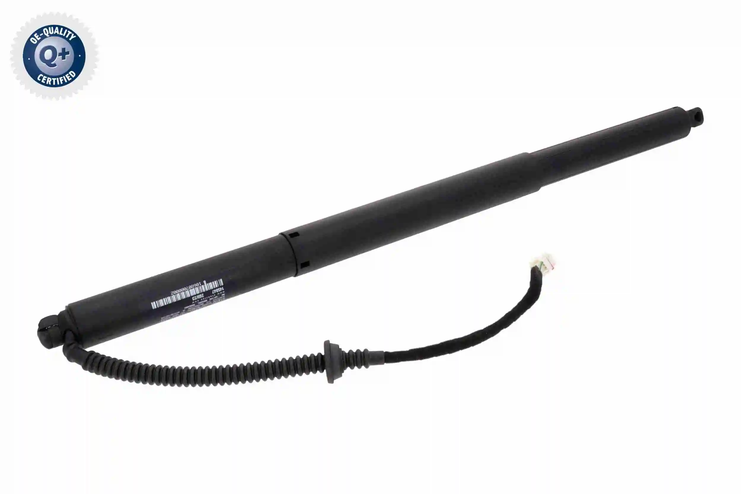V10550040 Vemo