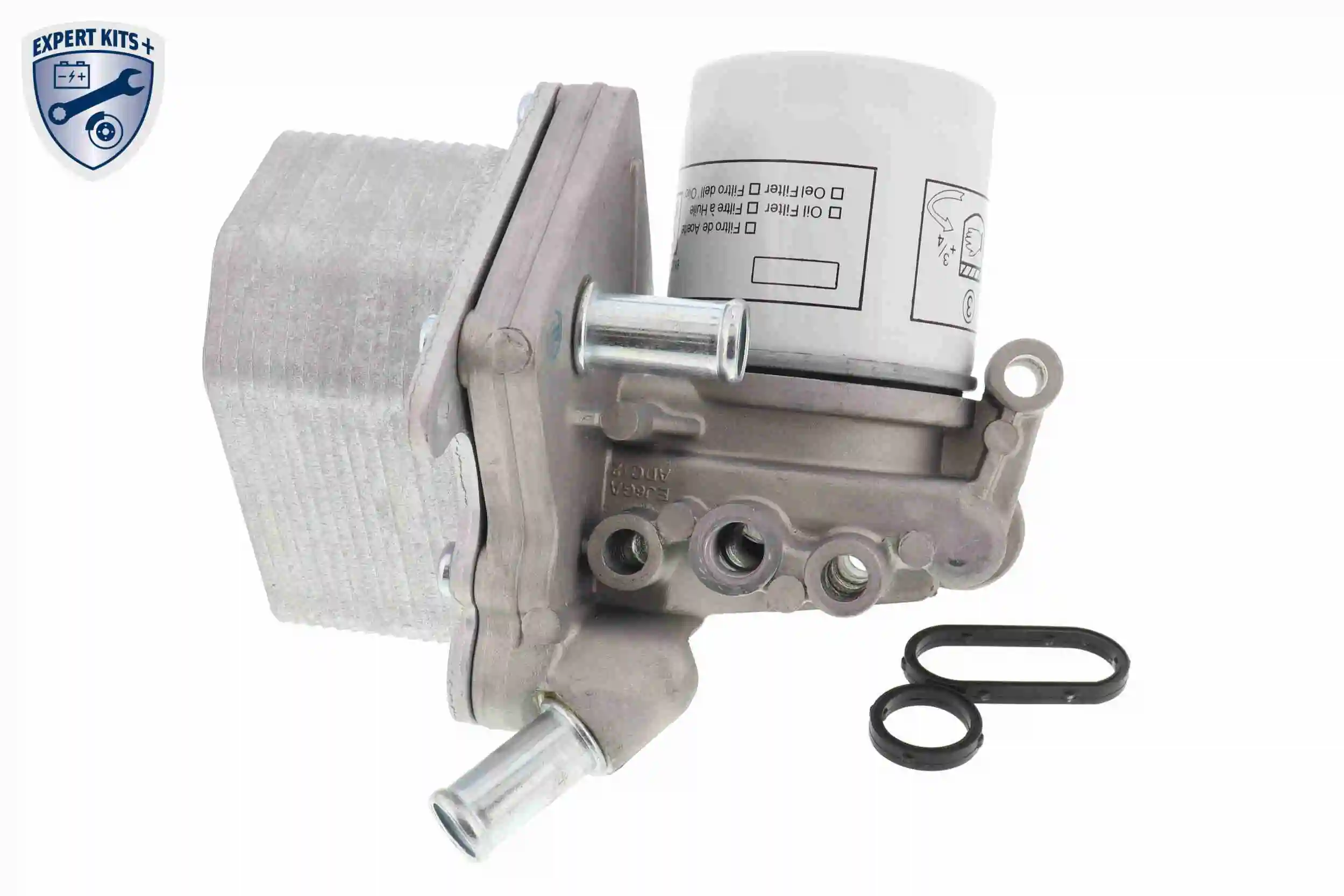 V25600029 Vemo