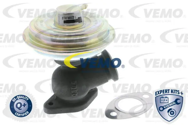 V22630011 Vemo