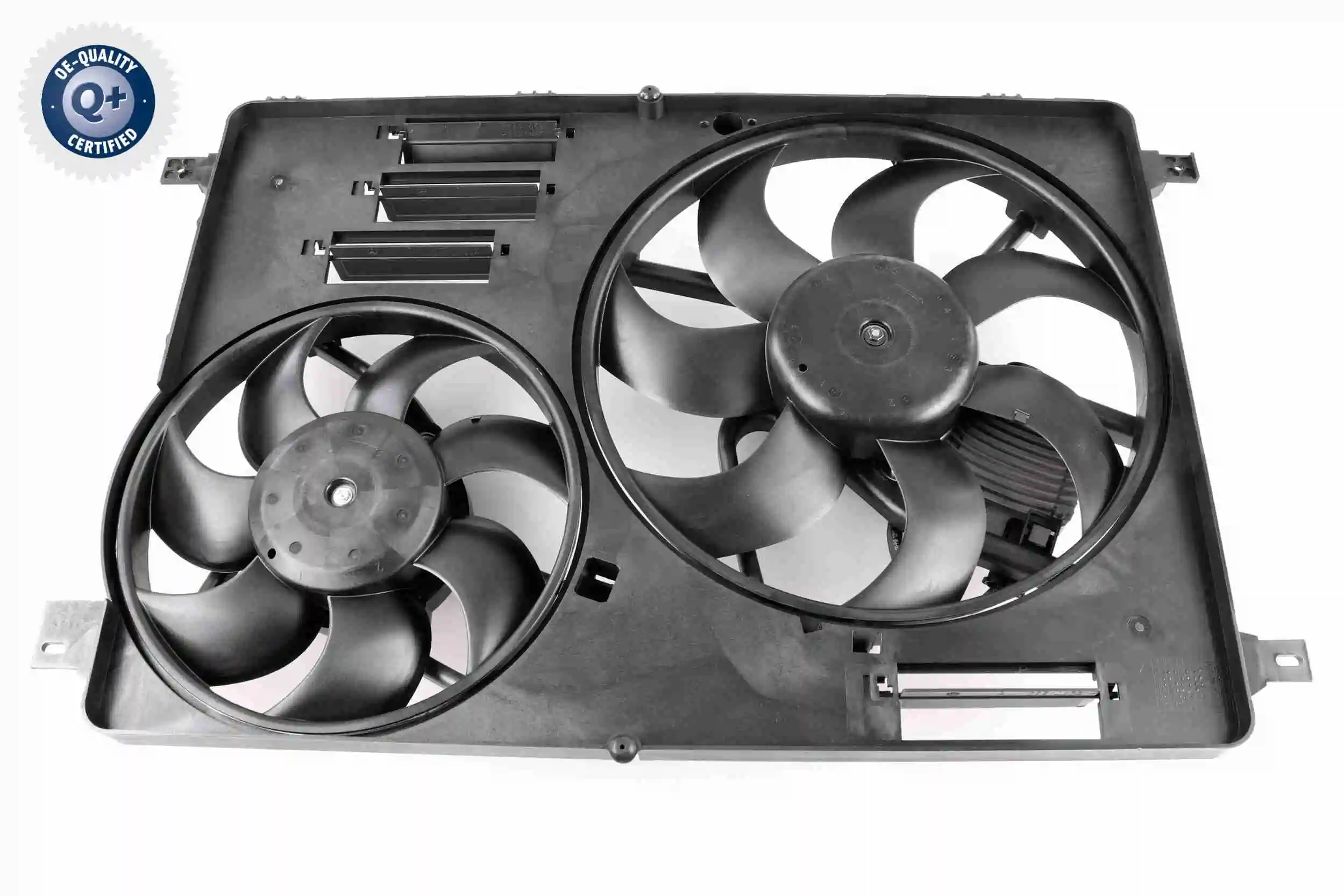 V48010006 Vemo