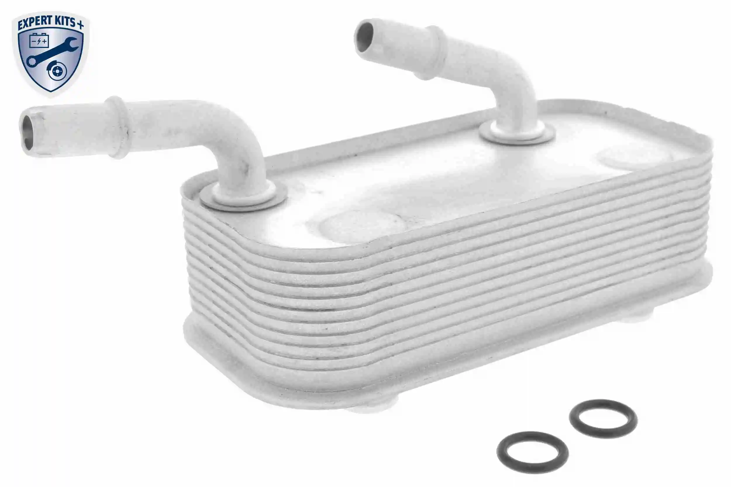 V20600002 Vemo