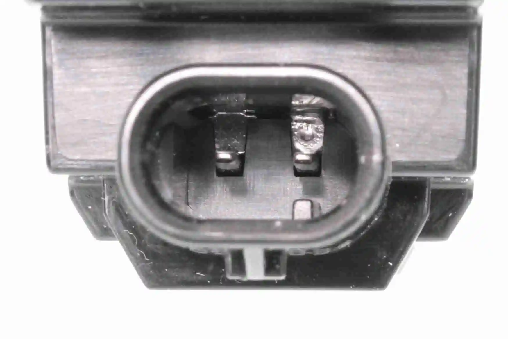 V25840003 Vemo Lanterna da luz de fundo de matrícula traseira